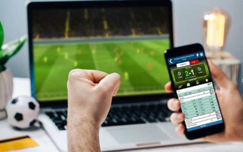 Trang cá độ bóng đá chất lượng thường phát hành app mobile